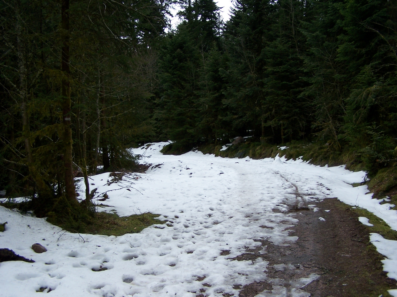 Gerardmer20080409.jpg