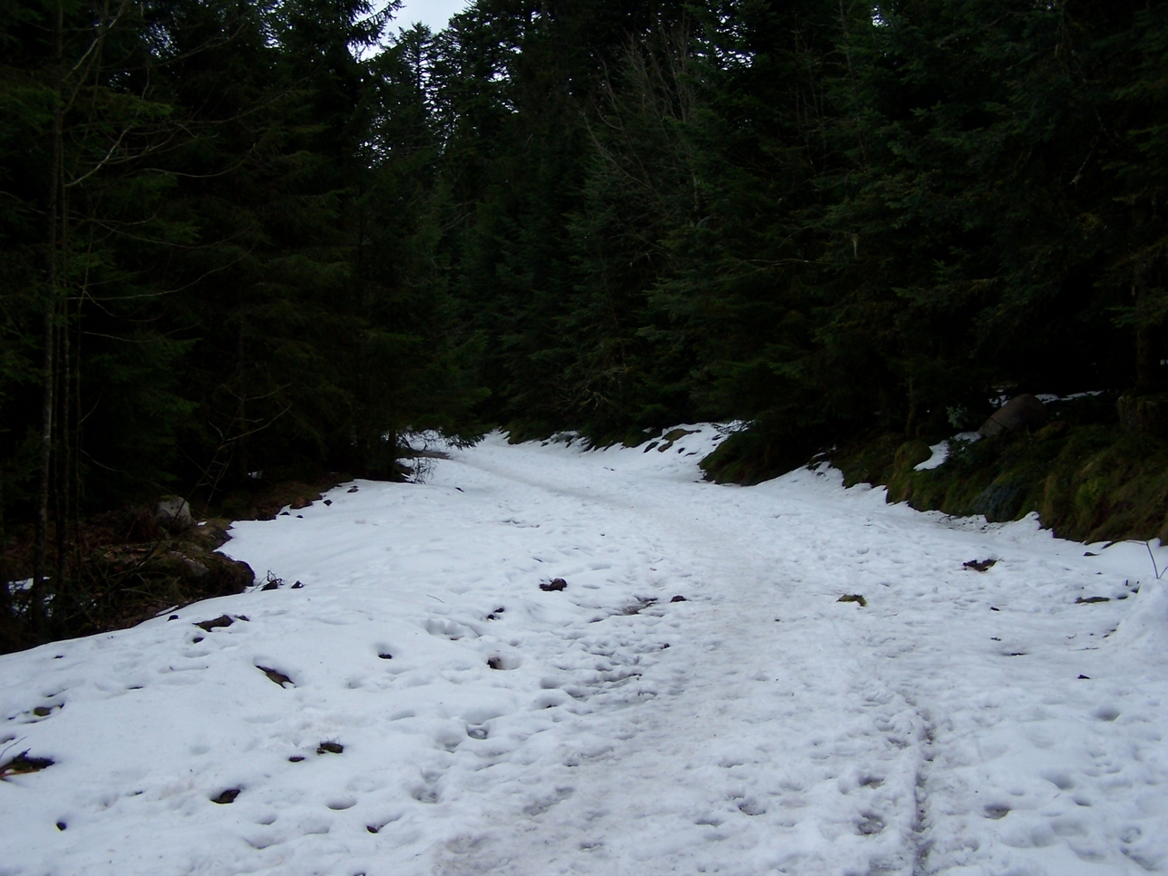 Gerardmer20080410.jpg