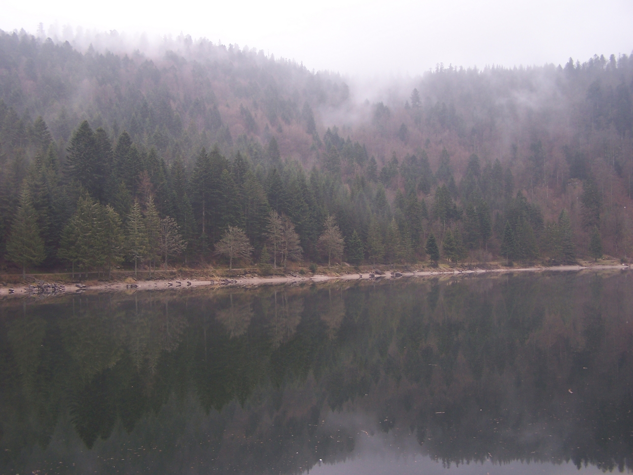 Gerardmer20080428.jpg