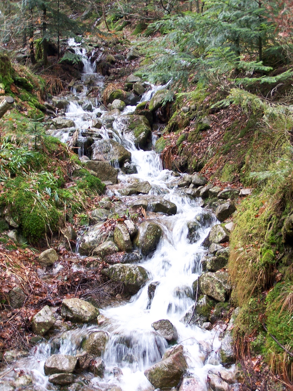 Gerardmer20080434.jpg