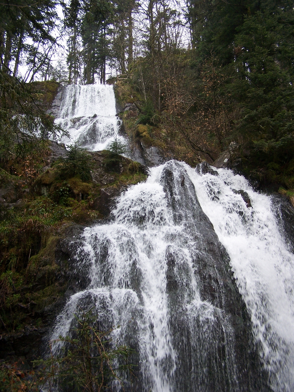 Gerardmer20080436.jpg