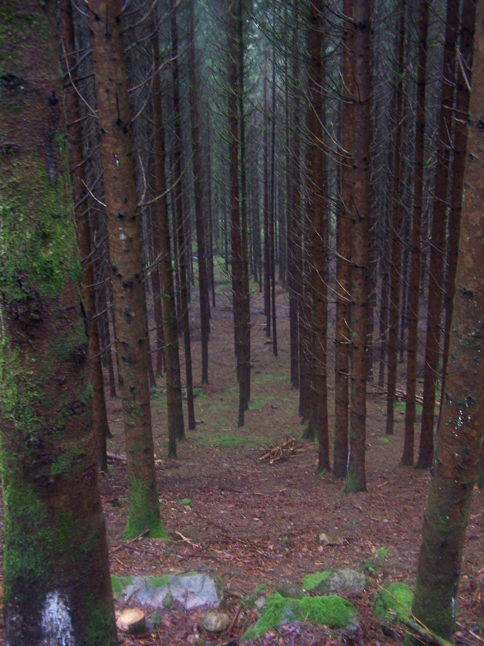 Gerardmer20080437.jpg