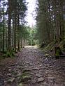 Gerardmer20080406