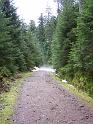 Gerardmer20080408