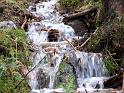 Gerardmer20080433
